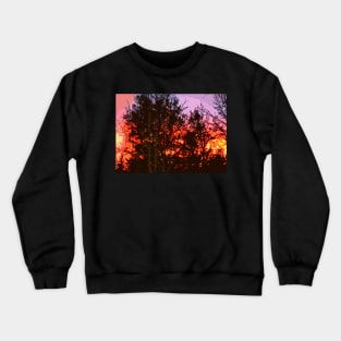 Oaks 24 Crewneck Sweatshirt